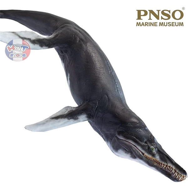 Mô hình Khủng Long Kronosaurus Jeff PNSO 2021 tỉ lệ 1/35 chính hãng