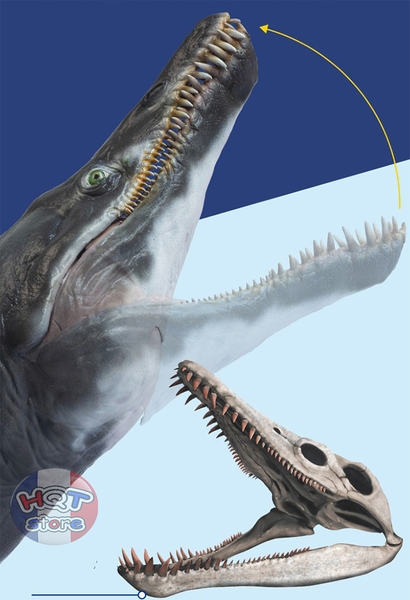 Mô hình Khủng Long Kronosaurus Jeff PNSO 2021 tỉ lệ 1/35 chính hãng