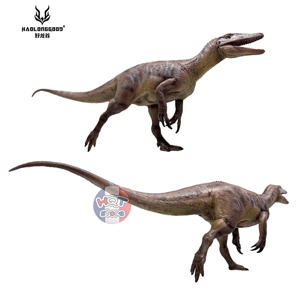 Mô hình Khủng Long Megaraptor Haolonggood tỉ lệ 1/35