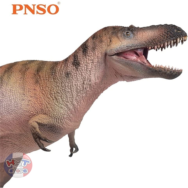 Mô hình Khủng Long Nanotyrannus Logan PNSO tỉ lệ 1/35 chính hãng