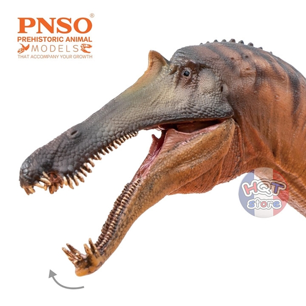 Mô hình khủng long Sinopliosaurus PNSO 66 Chongzuo tỉ lệ 1/35