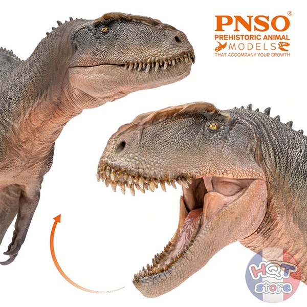 Mô hình khủng long Sinraptor Xinchuan PNSO 62 tỉ lệ 1/35