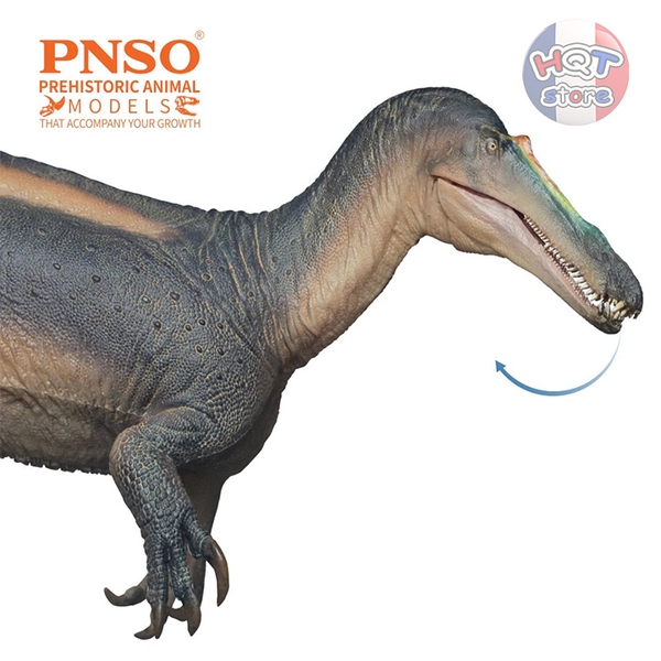 Mô hình khủng long Suchomimus PNSO 67 Thabo tỉ lệ 1/35