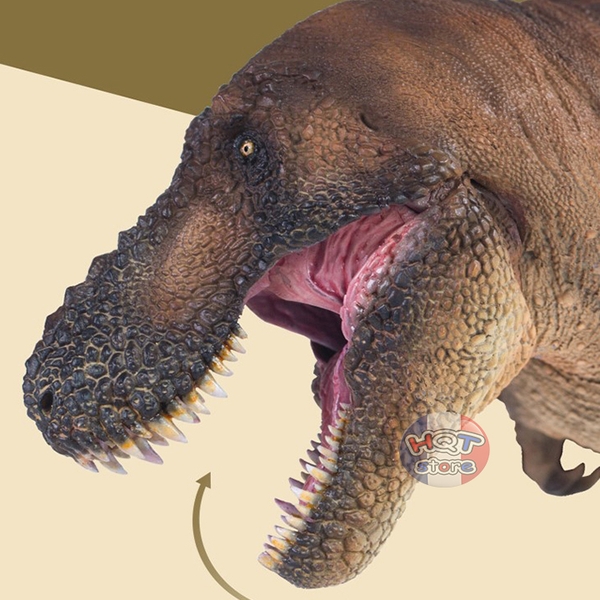 Mô hình Khủng Long T-Rex Andrea PNSO 2021 Tyrannosaurus tỉ lệ 1/35