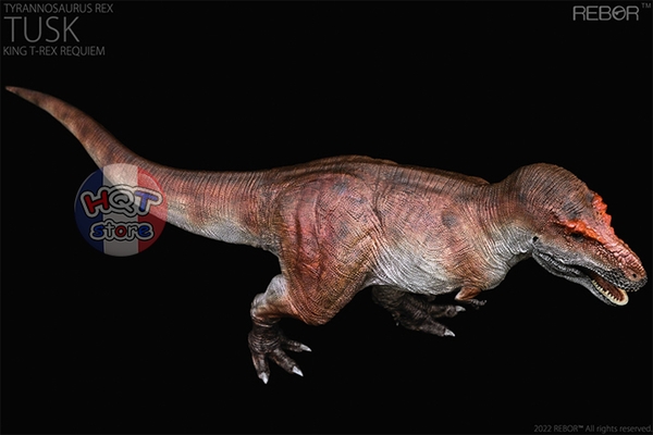 Mô Hình Khủng Long T-Rex Tusk Kiss REBOR tỉ lệ 1/35 (Tyrannosaurus Rex)