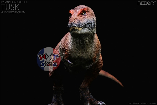 Mô Hình Khủng Long T-Rex Tusk Kiss REBOR tỉ lệ 1/35 (Tyrannosaurus Rex)