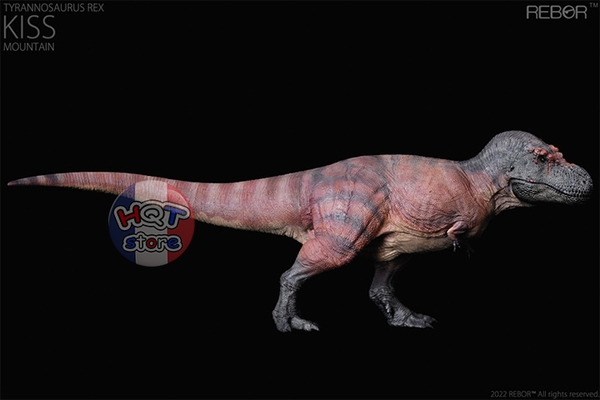 Mô Hình Khủng Long T-Rex Tusk Kiss REBOR tỉ lệ 1/35 (Tyrannosaurus Rex)