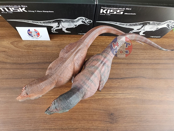 Mô Hình Khủng Long T-Rex Tusk Kiss REBOR tỉ lệ 1/35 (Tyrannosaurus Rex)