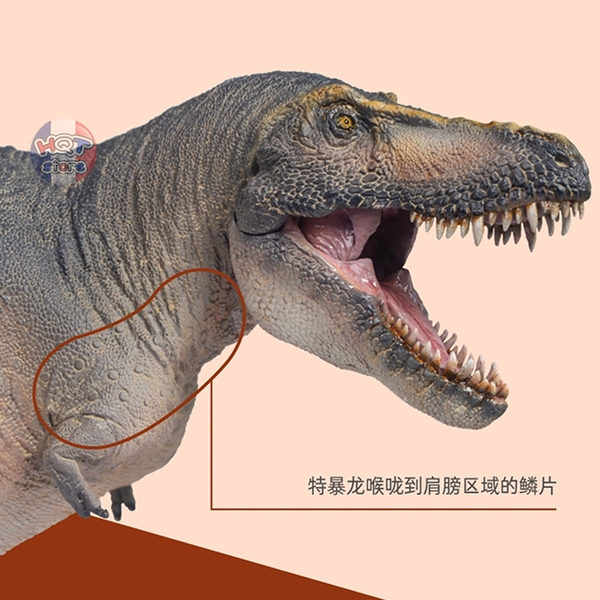 Mô hình Khủng Long Tarbosaurus PNSO 2021 Chuanzi tỉ lệ 1/35 chính hãng