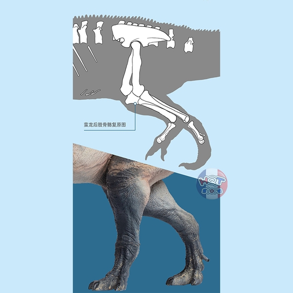 Mô hình Khủng Long Torvosaurus PNSO 2021 Connor tỉ lệ 1/35 chính hãng