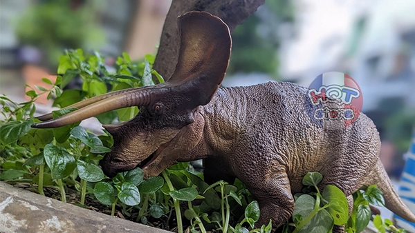 Mô hình khủng long Triceratops Doyle PNSO tỉ lệ 1/35 chính hãng