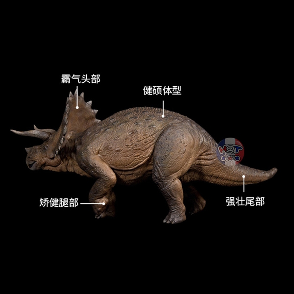 Mô hình khủng long Triceratops Nanmu Heavy Lance tỉ lệ 1/35 chính hãng