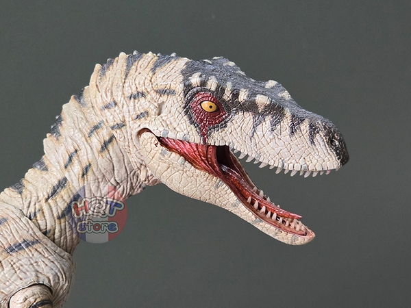 Mô Hình Khủng Long Velociraptor Benxin Nanmu Smart Series Action Fig