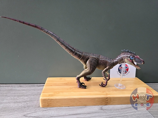 Mô Hình Khủng Long Velociraptor Benxin Nanmu Smart Series Action Fig