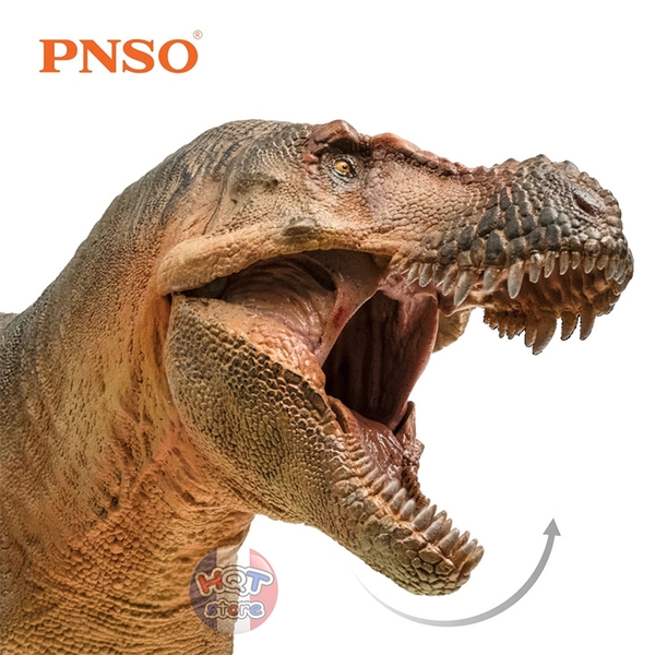 Mô hình khủng long Zhuchengtyrannus LuXiong PNSO 58 tỉ lệ 1/35 chính hãng