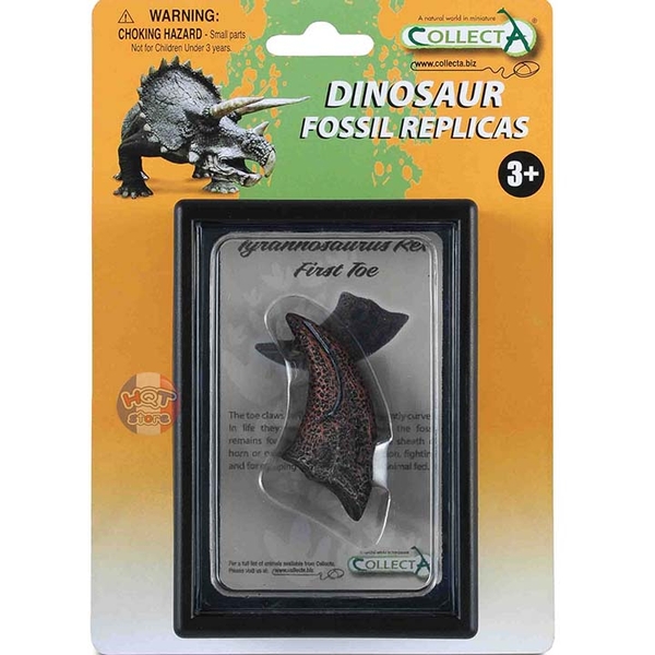 Mô hình hoá thạch móng vuốt khủng long T-Rex hãng CollectA 89280