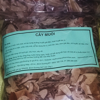 Cây Muối