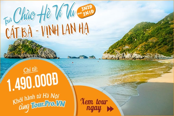 Tour Cát Bà Giá Rẻ Kinh Nghiệm Du Lịch Cập Nhật 2023