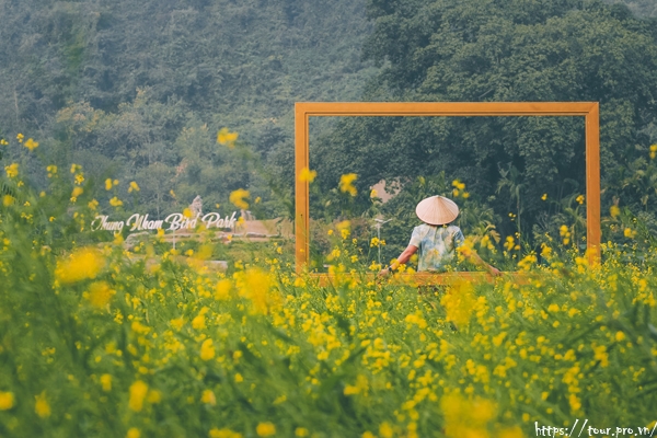 Tour Thung Nham Giá Rẻ Review Kinh Nghiệm Du Lịch 2023