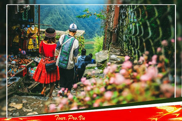 Tour Sapa Giá Rẻ Kinh Nghiệm Du Lịch Cập Nhật Mới 2023