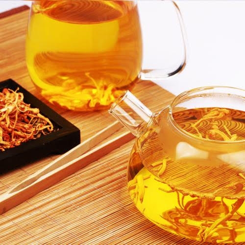 ĐÔNG TRÙNG HẠ THẢO ĐÔNG TRÙNG HẠ THẢO
