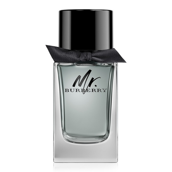 Burberry Mr. Burberry Eau de Toilette 100ml