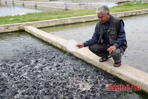 Một số biện pháp phòng chống rét cho thủy sản