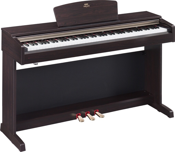 Yamaha arius 161