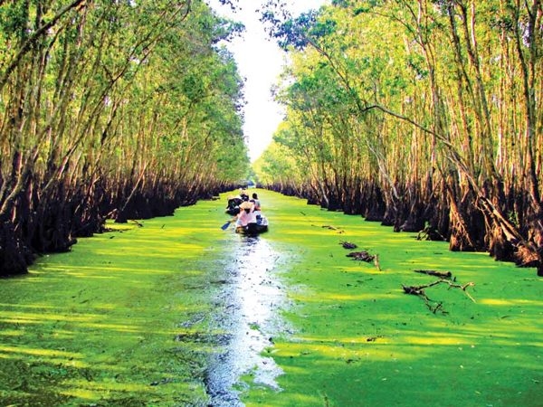 Tour du lịch Miền Tây 3 ngày 2 đêm rừng Tràm Trà Sư