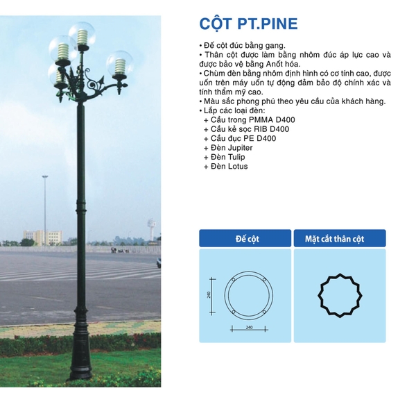 cot-pt-pine