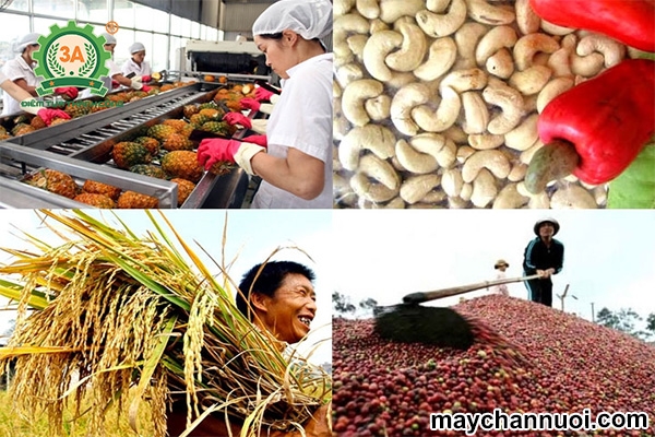 Hướng dẫn mới nhất cách đăng ký xuất khẩu thực phẩm nguồn gốc thực vật vào Trung Quốc!