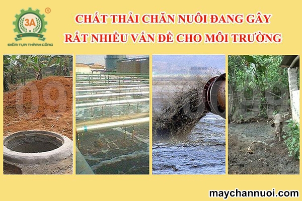 Cách tận dụng phân chuồng và cách sử dụng hiệu quả