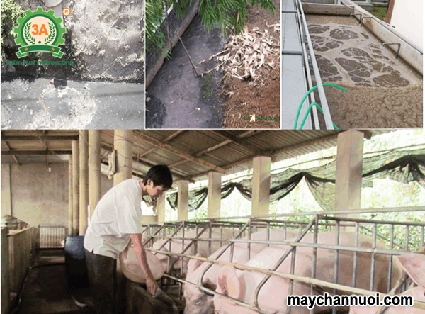 Những giải pháp xử lý chất thải chăn nuôi