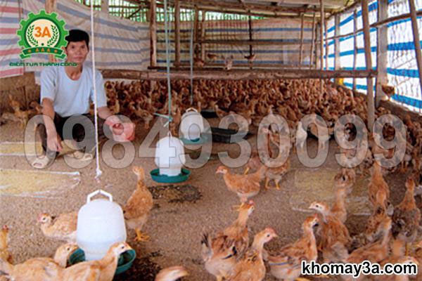 Khám Phá Máy Băm Nghiền Đa Năng – Giải Pháp Tiết Kiệm Cho Chăn Nuôi