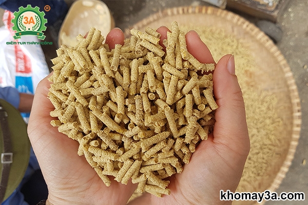 Heo ăn cám mua ngoài và cám viên tự ép – Lựa chọn nào tối ưu cho trang trại?