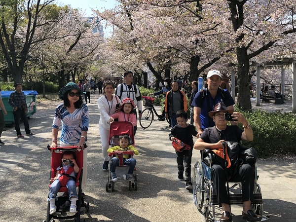 Du lịch tự túc Tokyo, Nhật Bản - Kỳ II: Những địa điểm ngắm hoa anh ᵭào đẹp tại Tokyo