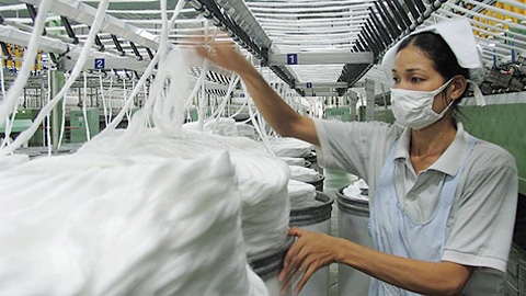  Enzym của DuPont tạo bước đột phá trong sản xuất hàng dệt bông 
