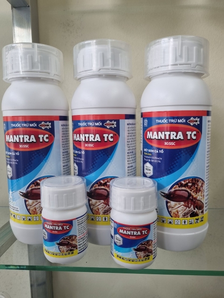 Thuốc Diệt Mối Tiền Giang | Bán Thuốc Diệt Mối Tận Gốc Tại Tiền Giang