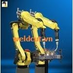 Robo Fanuc S12