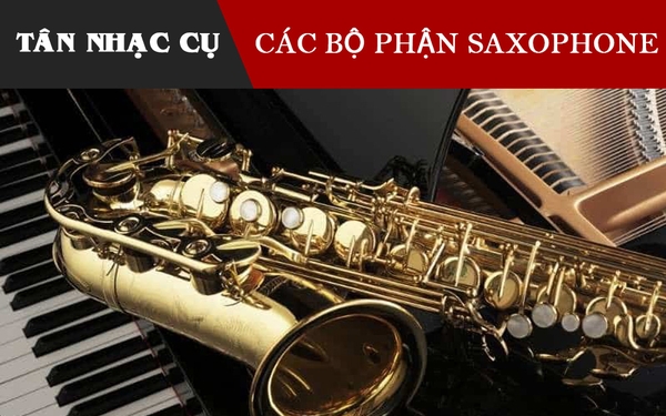 Các Bộ Phận Của Kèn Saxophone