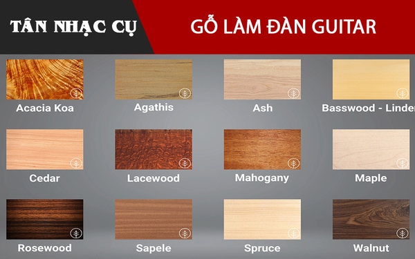 Các Loại Gỗ Làm Đàn Guitar