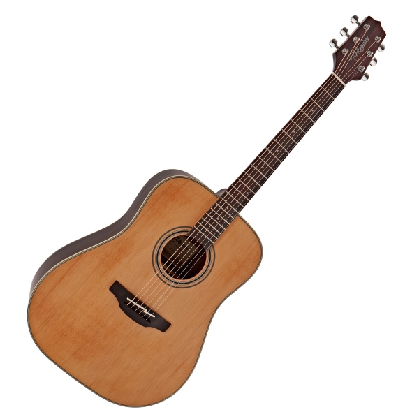 Đàn Guitar Takamine GD20 - Acoustic