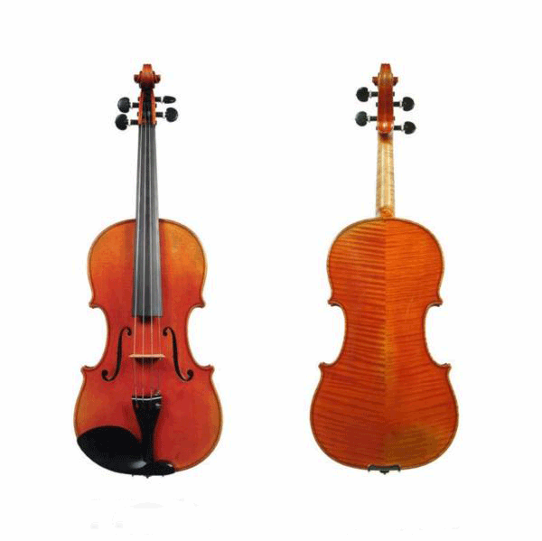 Đàn Violin Scott & Guan 117