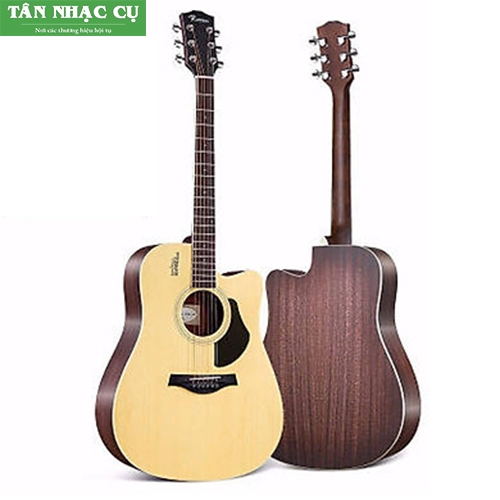 Đàn Guitar Acoustic Rosen G13