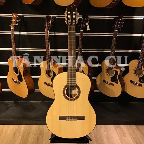 Đàn Guitar Classic Cordoba C5SP