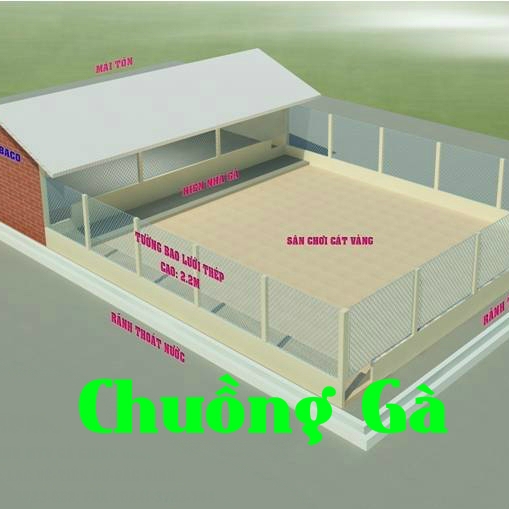 Cách làm chuồng Gà thả vườn