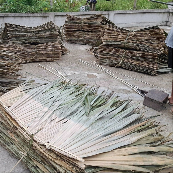 PALM LEAVES SHEETS
