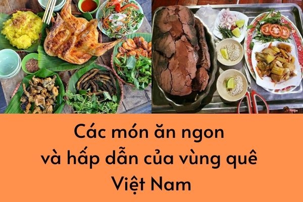 Các món ăn ngon và hấp dẫn của vùng quê Việt Nam