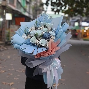 Sky Blue 2 - HB1126