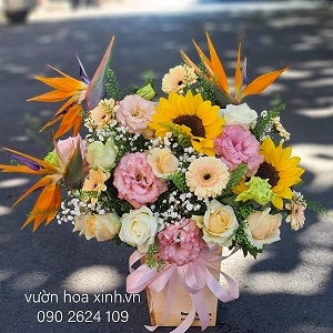 Vườn Hoa Xinh 41 - HHG1118